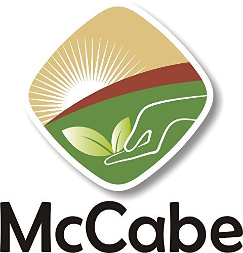 McCabe Organic Barley Flour - Barley Flour for Cooking and Baking | Rich in Fiber | USDA and CCOF Certified | Product of USA | 2 lbs (32 Oz) Pack of 3