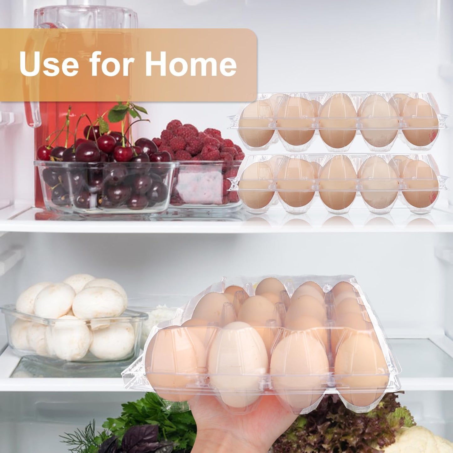 50 Pack Bulk Egg Cartons, Clear Plastic Chicken Egg Holders, Egg Tray Carton Holder for Home & Kitchen, Farm & Market Use, An Eco-Friendly Egg Storage Solution, 20 Grids(Medium Size)