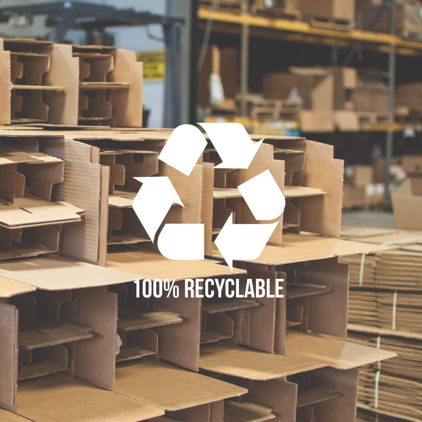 Rolf Glass Symmetry Martini Cocktail Glass | 10oz Martini Glasses | Lead-Free and Diamond-Wheel Engraved | Mixed Contemporary Designs | Proudly Made in the USA | Set of 4