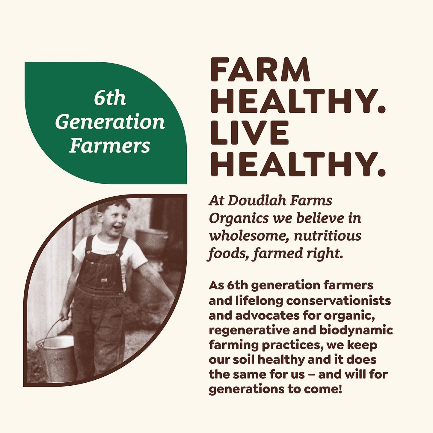 Organic Rye Flour 5 lb - Non-GMO, USDA Organic, Vegan, For Baking Sourdough, Bread, and More! Grown In USA, Farmed From Regenerative Soil by Doudlah Farms