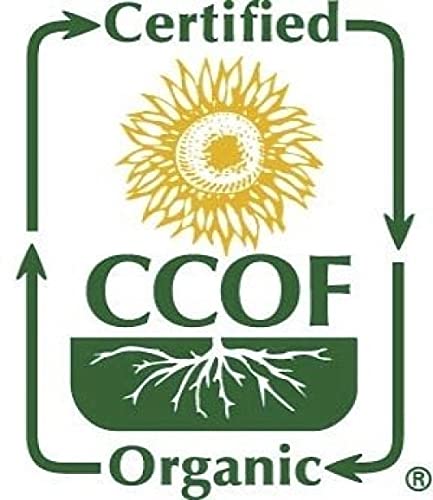 McCabe Organic Millet Flour - Millet Flour Organic | Rich with Fiber & Minerals | USDA and CCOF Certified | Product of USA | 2Lbs Pack of 3