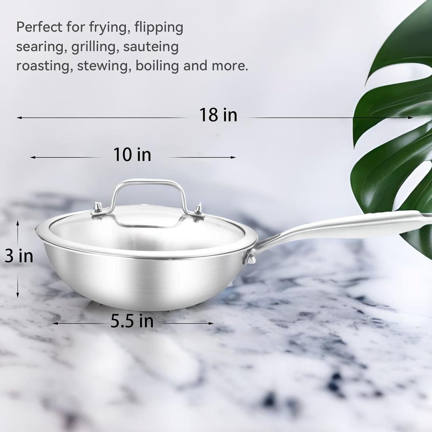 LOLYKITCH 10 Inch Tri-ply Stainless Steel Wok Pan with Lid,Dia.26 CM Stir-Frying Pan,Induction Cooking Pot,Heavy Duty,Dishwasher and Oven Safe,Riveted Handle.