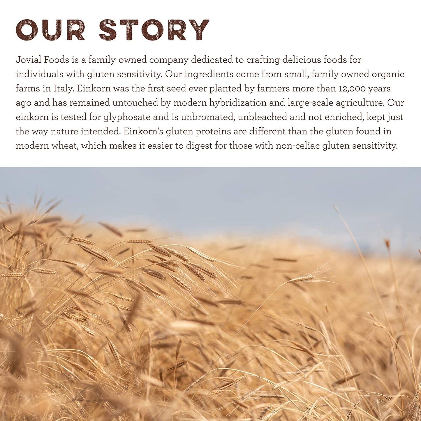 Jovial Einkorn 100% Organic Einkorn Whole Wheat Flour - Baking Flour, High Protein, Non-GMO, USDA Certified Organic, Unbleached Flour, Product of Italy, Organic Whole Wheat Flour - 32 Oz (2 Pack)