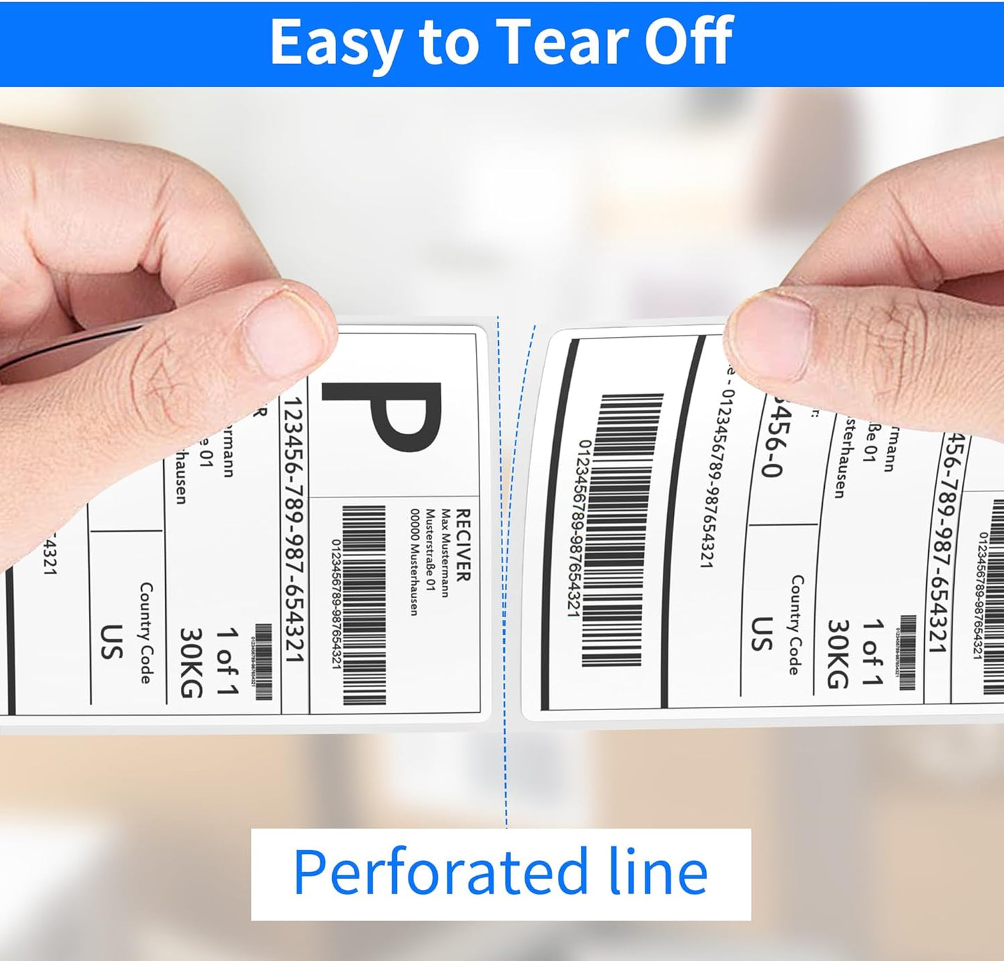 Thermal Shipping Labels, 4"x6" Direct Thermal Labels, FungLam Mailing Postage Shipping Label Compatible with Zebra, Munbyn, Rollo and Polono Printers,450 Labels/Roll, 8 Rolls.