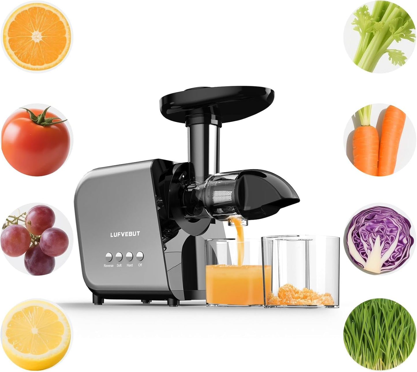 Slow Clod Press Juicer for Fruits Vegetables Celery Carrot Ginger, Masticating Juicer Machine Soft Hard Reverse Function,250W Motor,Easy To Clean, Fresh Orange Juice Extractor