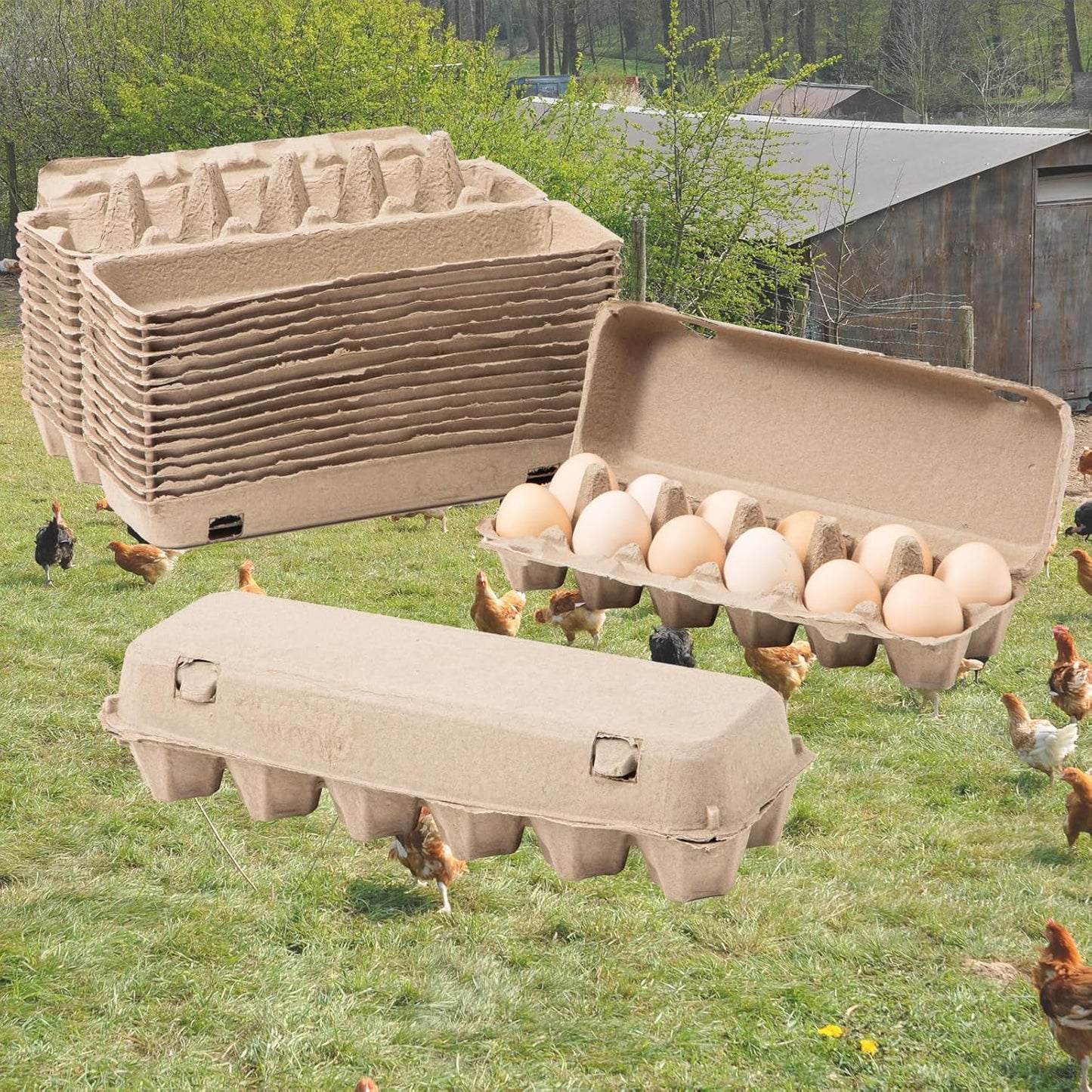 15 Pack Egg Cartons Cheap Bulk, 12 Count Egg Storage Containers Holder, Sturdy Natural Pulp Material Perfect for Storing Extra Eggs