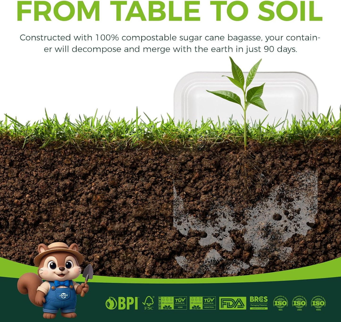 100 Pack 14 Inch Disposable Compostable Food Trays, Heavy-Duty White Paper Plates for Crawfish Boil, Lobster, Thanksgiving, Parties, Large Serving Platters