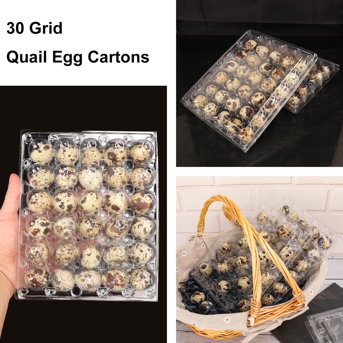 100 Pack Quail Egg Cartons, Clear Plastic Quail Egg Trays, Holds up to 30 Quail Eggs Securely - Your Ultimate Small Eggs Carton Holders for Bulk Storage and Display by KUKLIPJIM