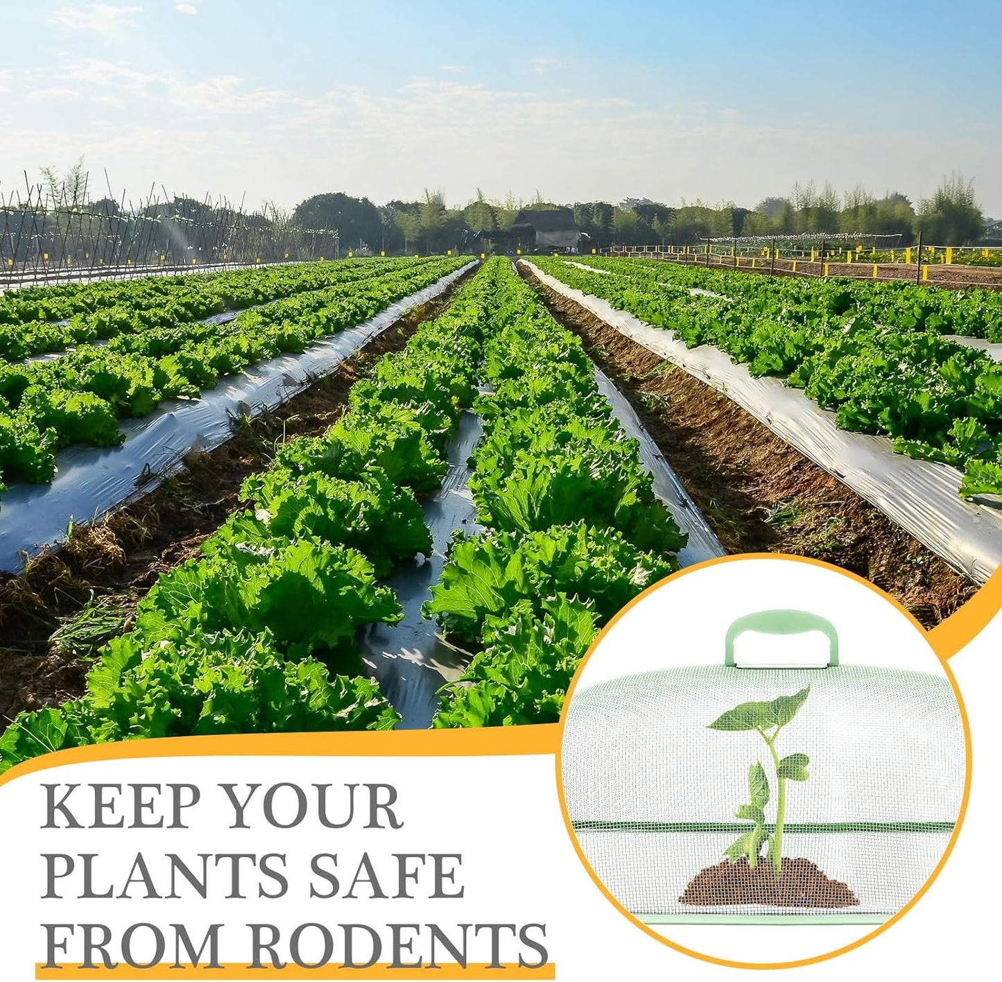 Hicarer 4 Pcs Metal Mesh Screen Food Cover for Outdoors Set Large 18.5 Inch Mesh Food Tents for Outdoor Mesh Food Covers Picnic Food Covers for Indoor Plate (Black, Blue, Green, Pink)