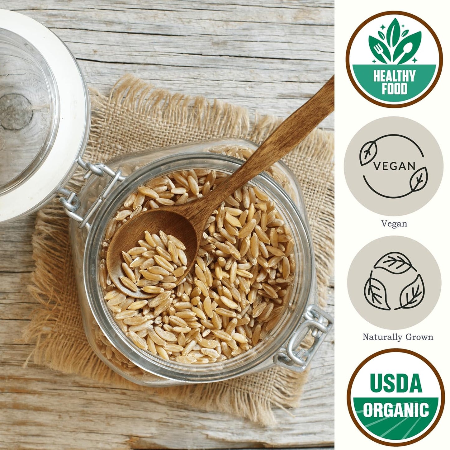 Be Still Farms Organic Kamut Wheat Berries Khorasan (2.8lb) - Ancient Whole Grain Bulk - Ideal for Flour, Pasta, Salads, Soups - High in Fiber & Protein | USA Grown | USDA Certified | Vegan | Non-GMO