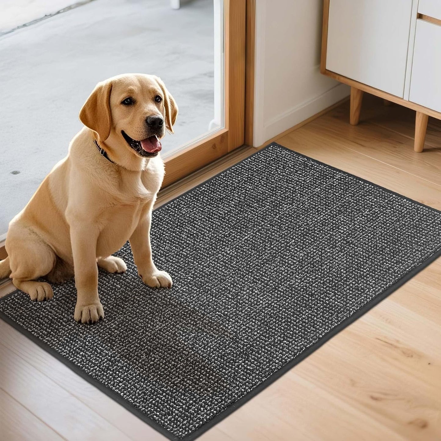JSEI Dirt Trapper Door Mat 24"x36" Non-Slip Washable Entrance Mat, Dog Doormats, Absorbent & Fade-Resistant Floor Mats, Low Profile Welcome Mats for Entryway, Front Door, and Inside Entrance,Dark Grey